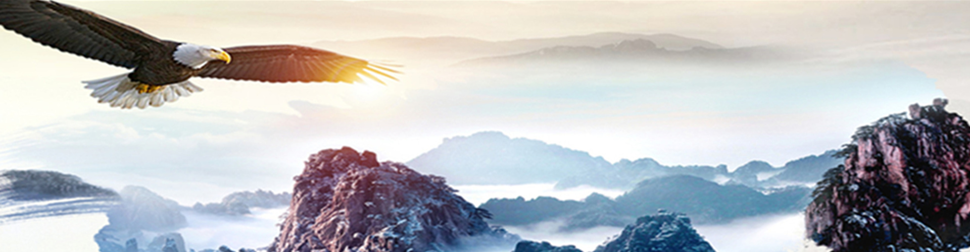 廢氣處理凈化設備廠家 廢氣處理凈化設備